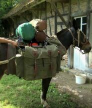 Bivouac en Bresse